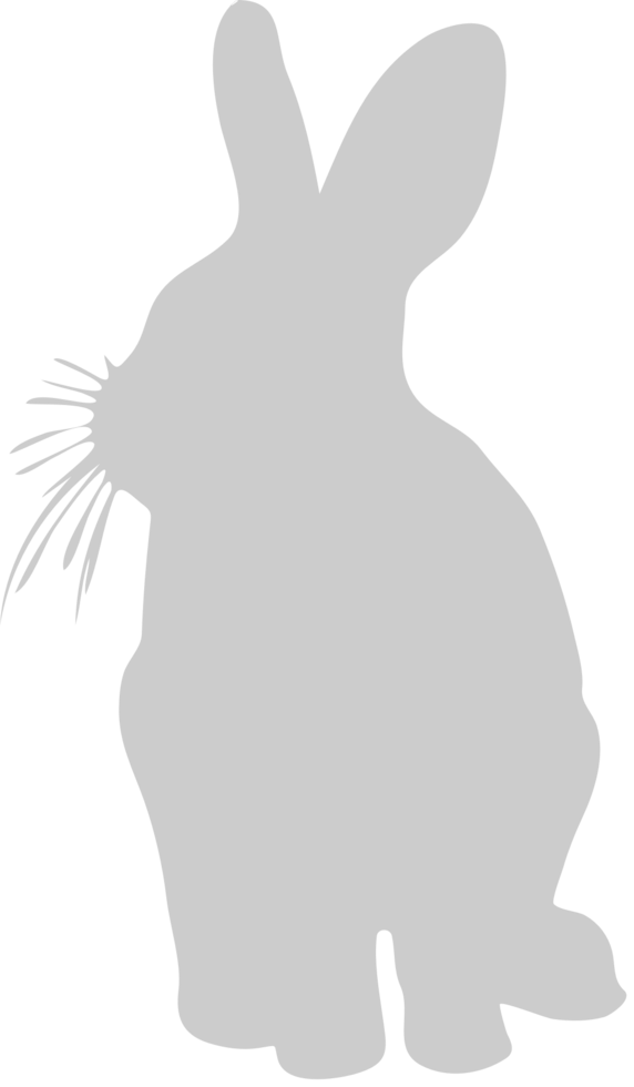 Rabbit vector
