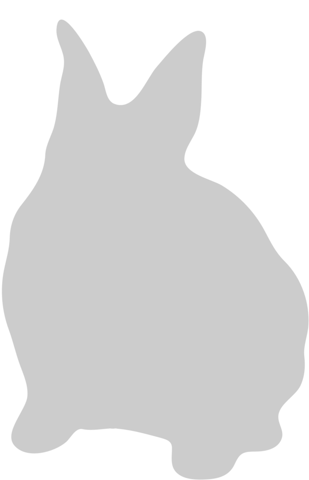 Rabbit vector