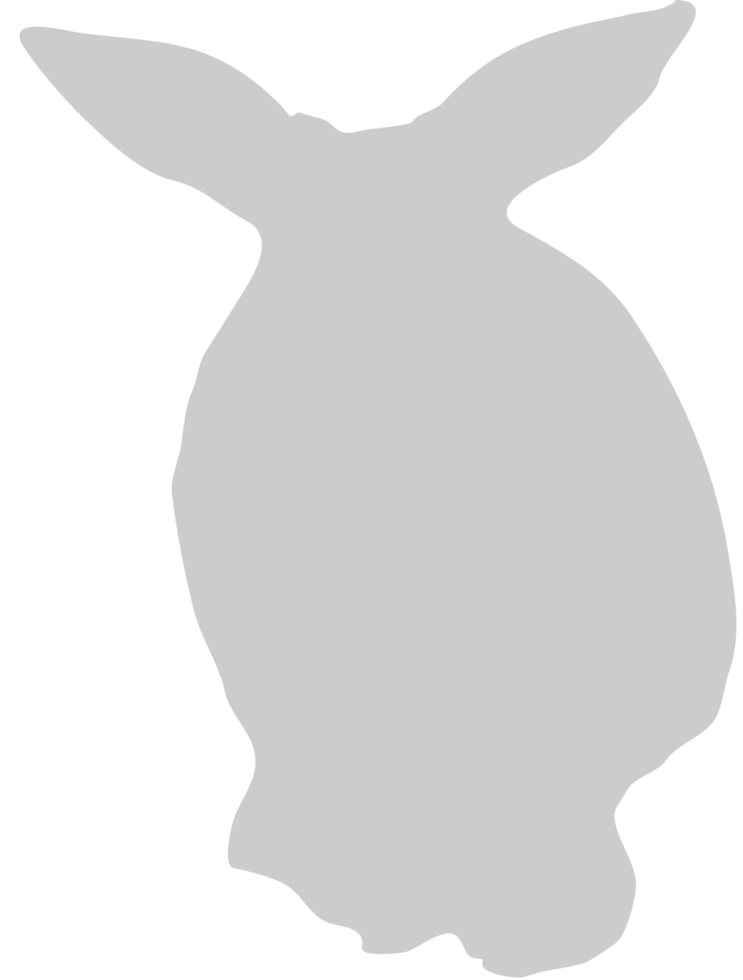 Rabbit vector