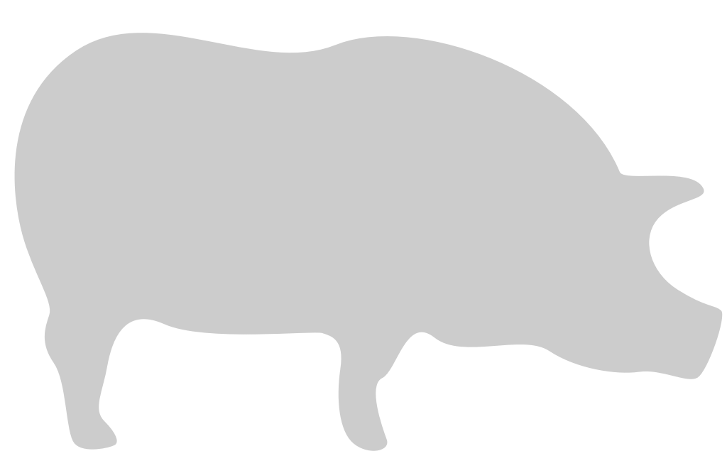 Pig vector
