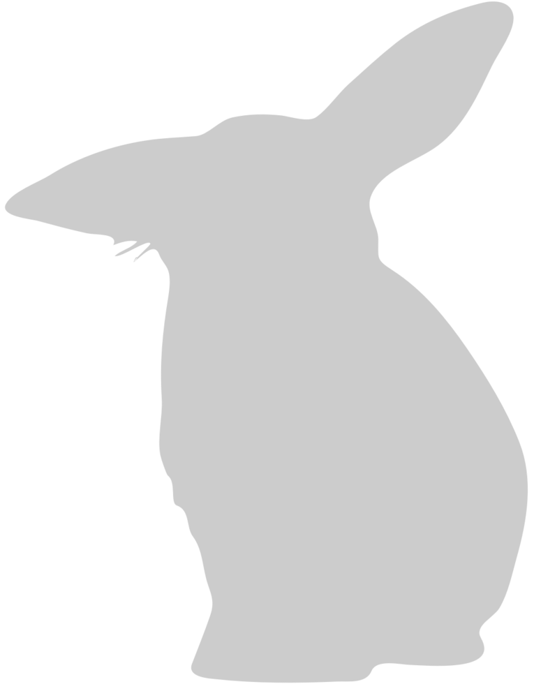 Rabbit vector