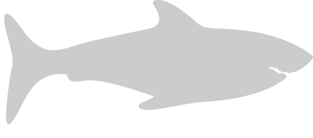 Shark vector