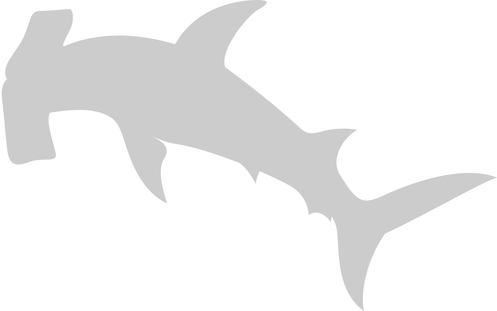 Hammerhead shark vector