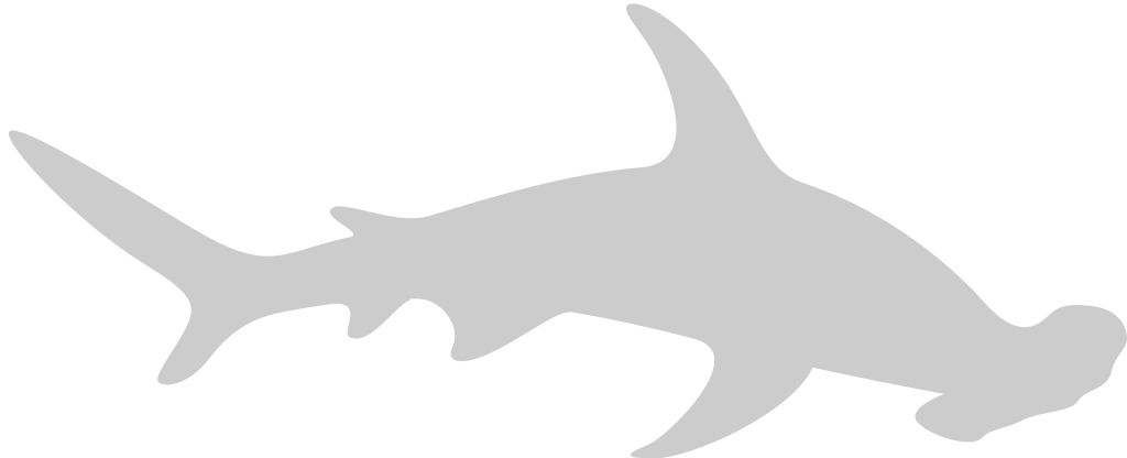 Hammerhead shark vector