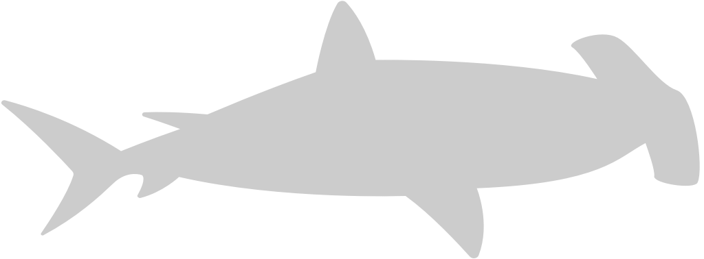 tiburón vector