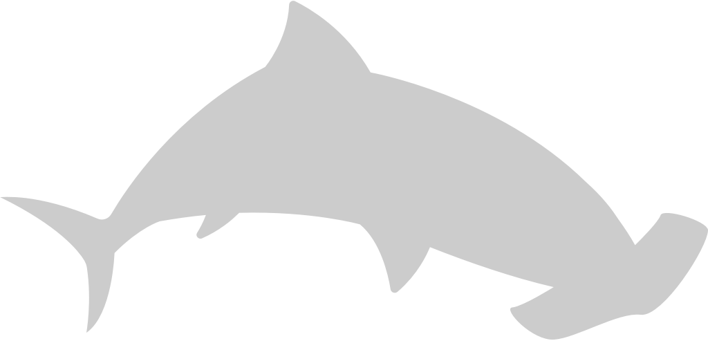 Shark vector