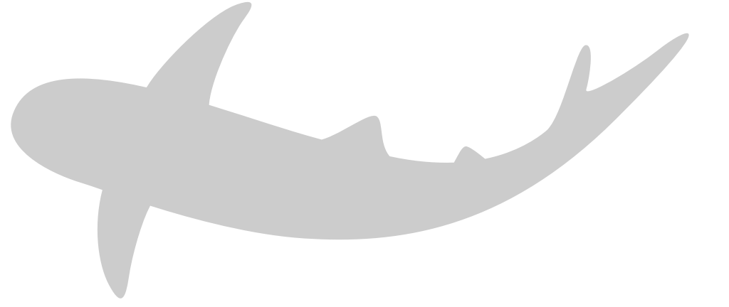 Shark vector