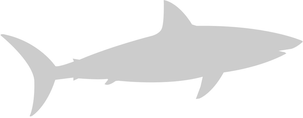 Shark vector