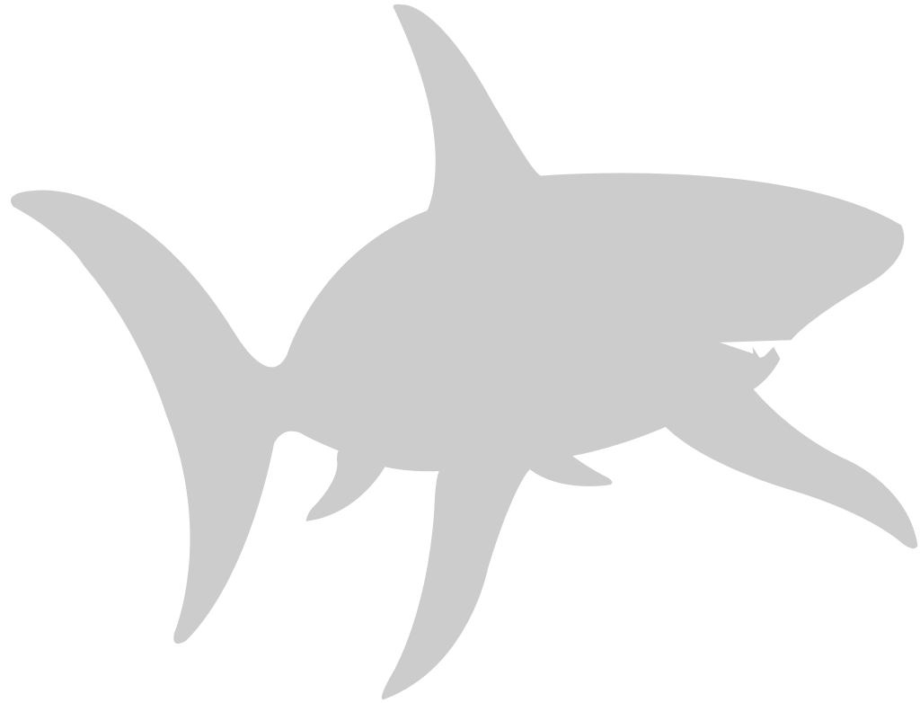Shark vector