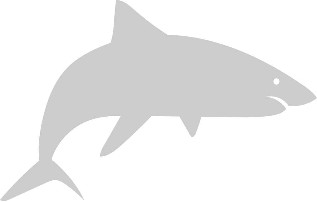 Shark vector
