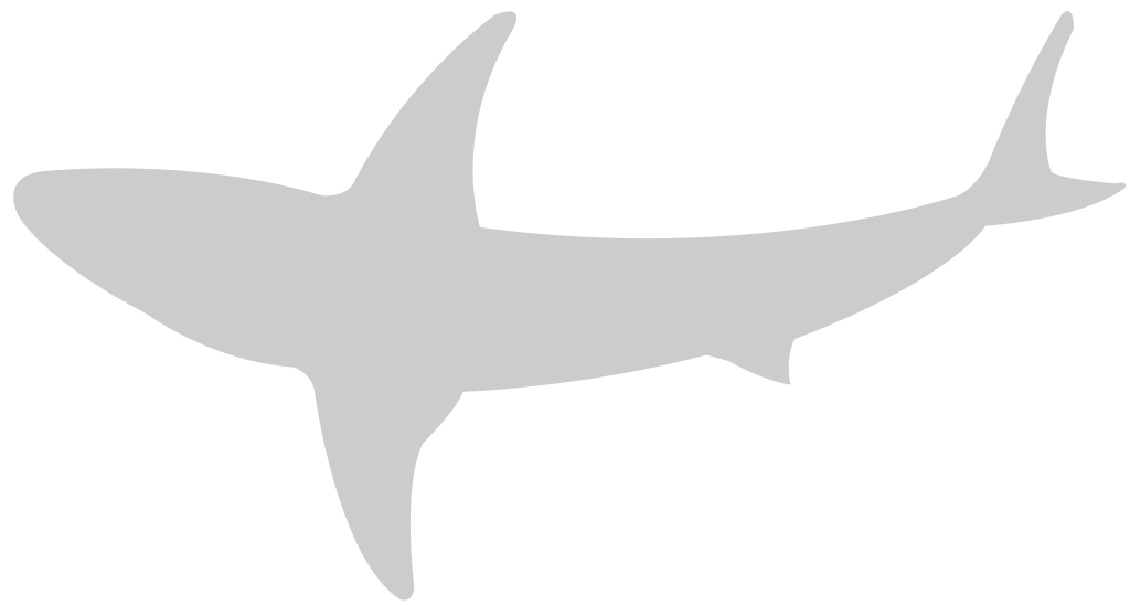 tiburón vector