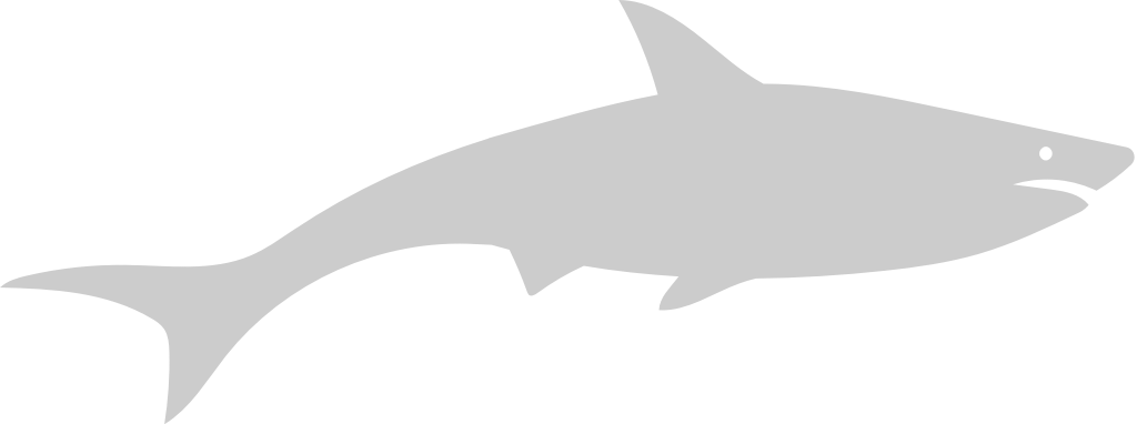 Shark vector
