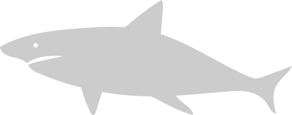 Shark vector