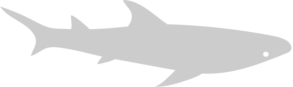 Shark vector