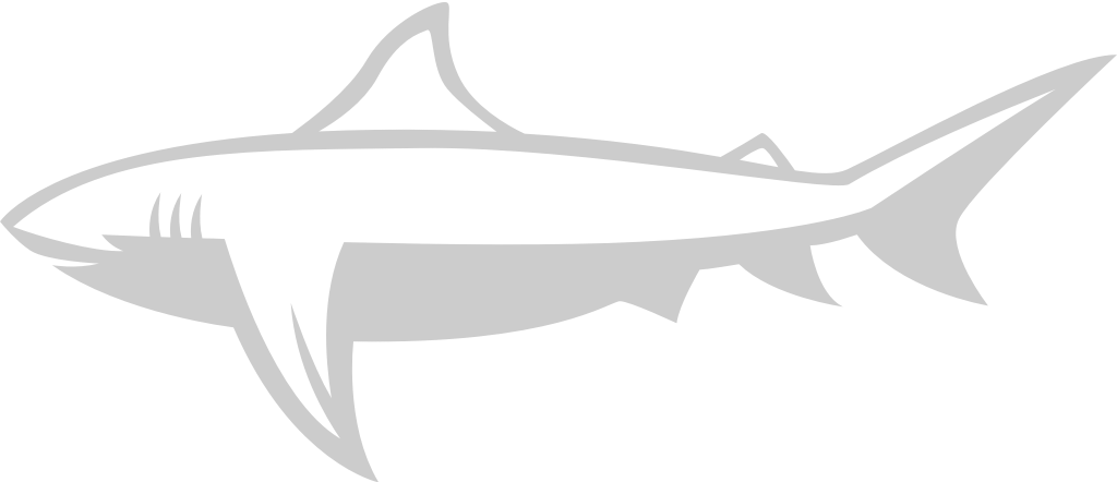 Shark vector