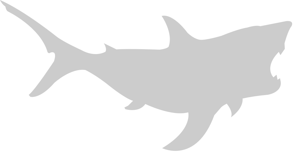 Shark vector