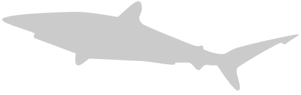 tiburón vector