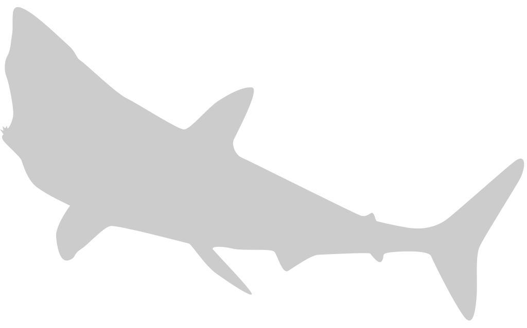 Shark vector