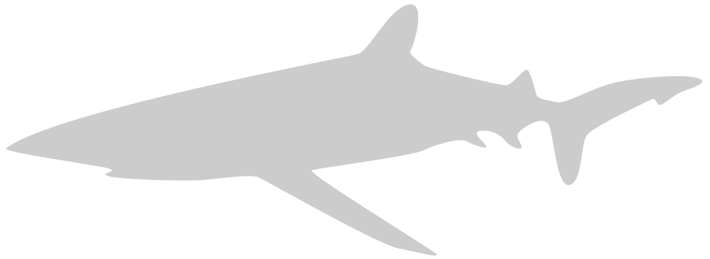 tiburón vector