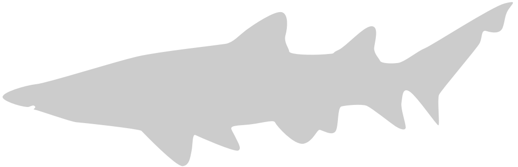 tiburón vector