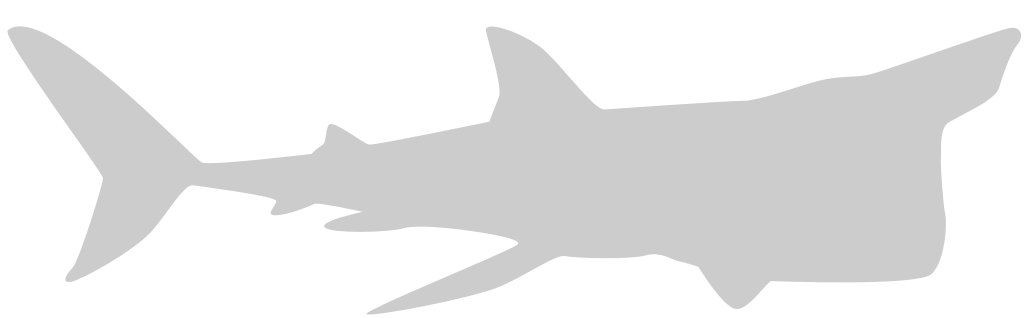 tiburón vector