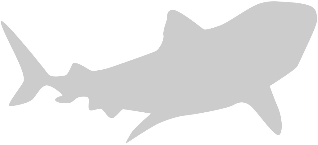 Shark vector