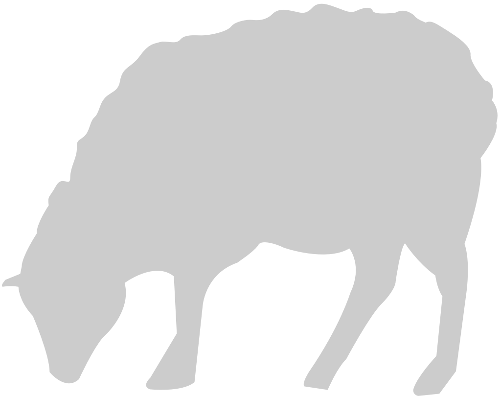 Sheep vector