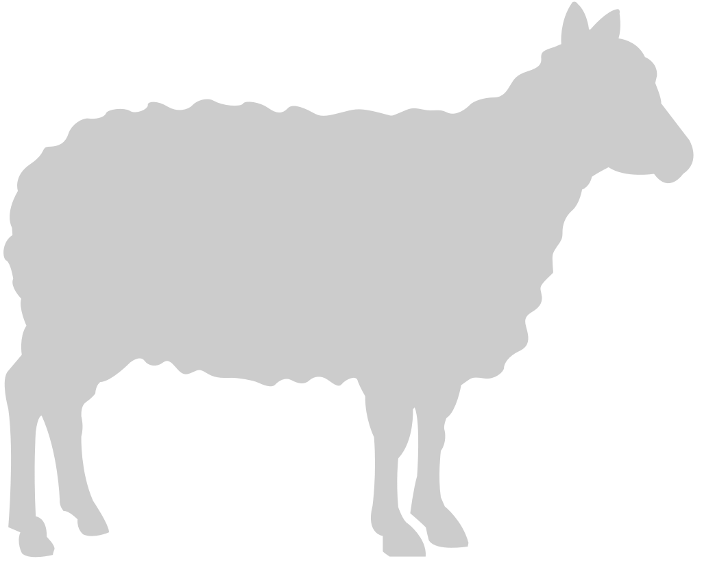 Sheep vector
