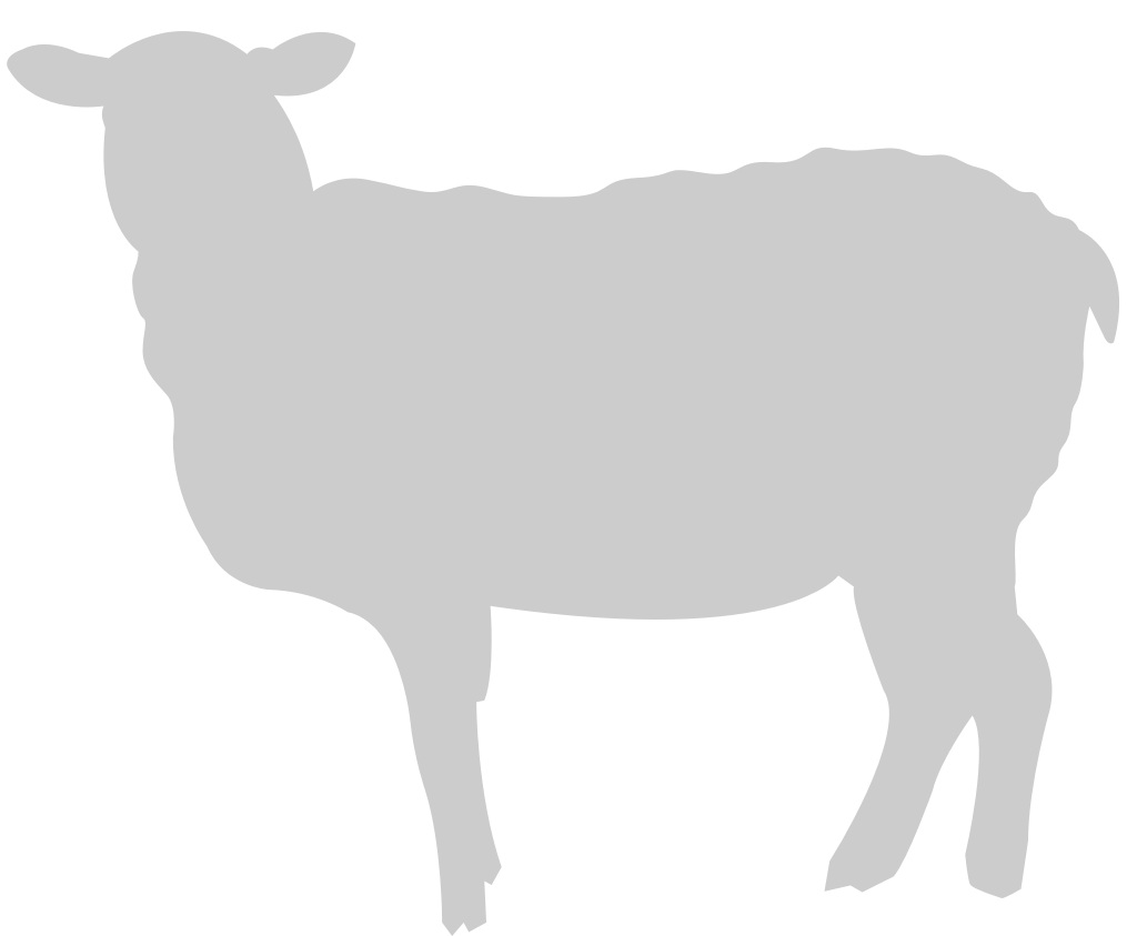 Sheep vector