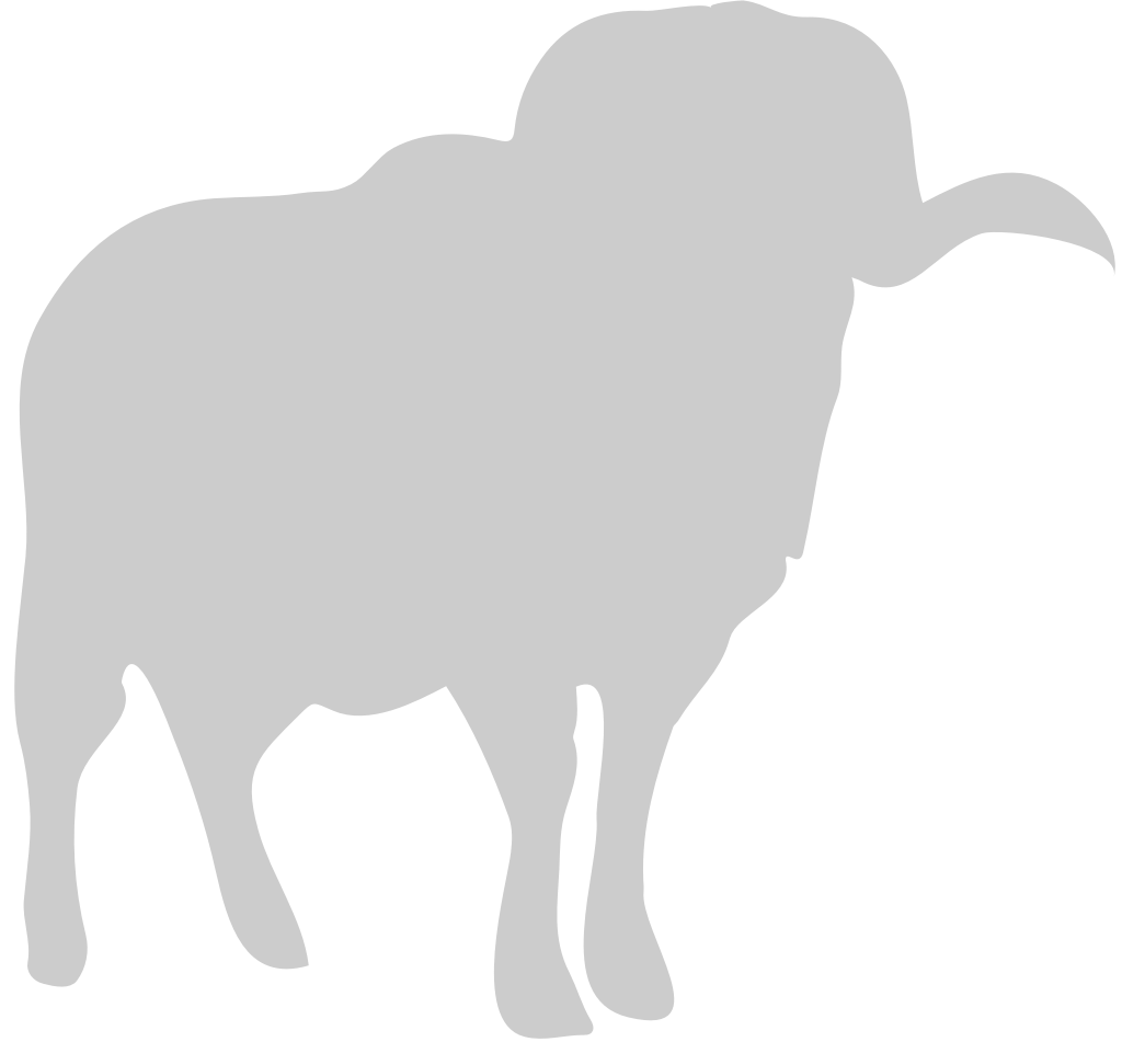 Sheep vector