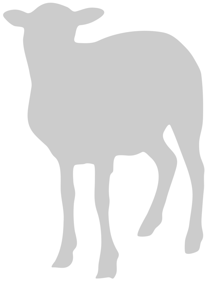 Sheep vector