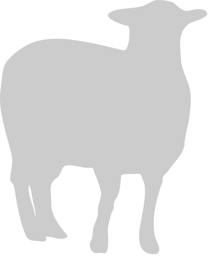 Sheep vector