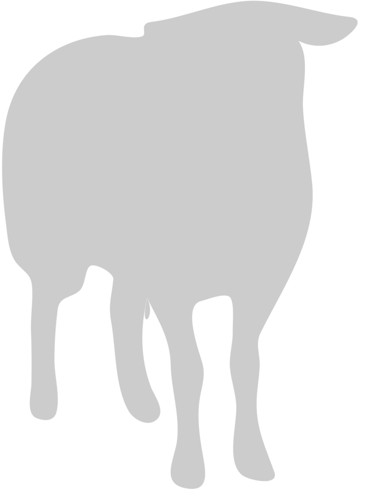Sheep vector