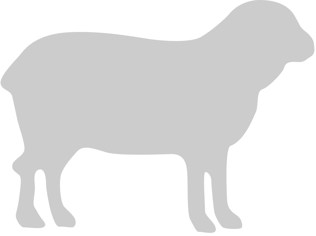 Sheep vector