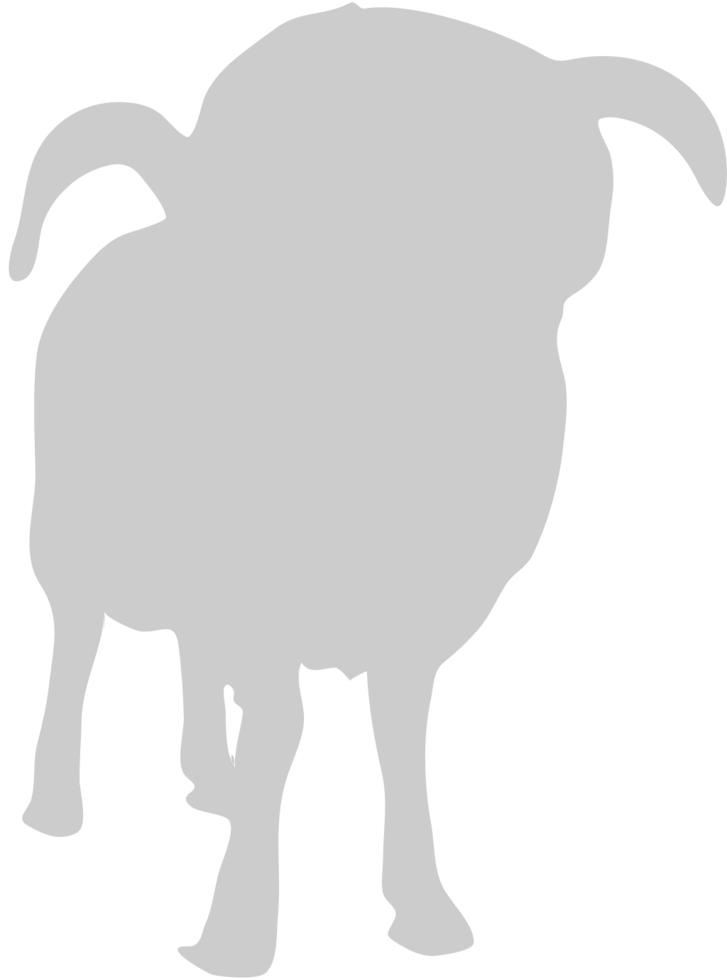 Sheep vector