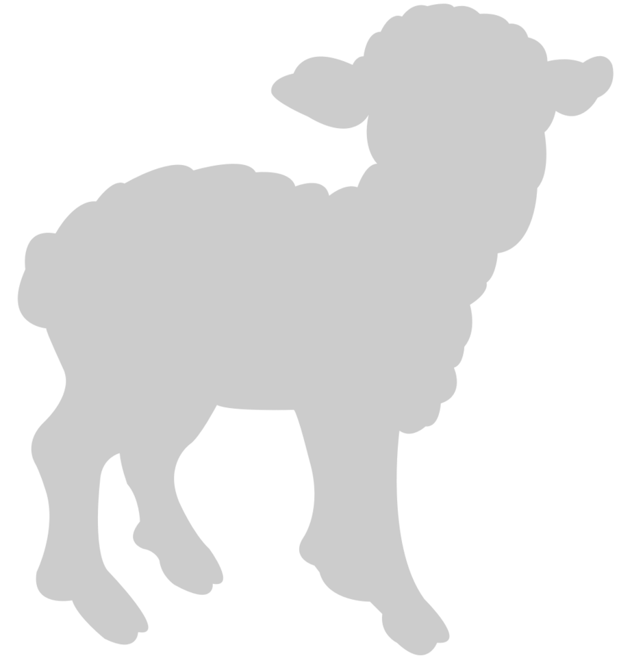 Sheep vector