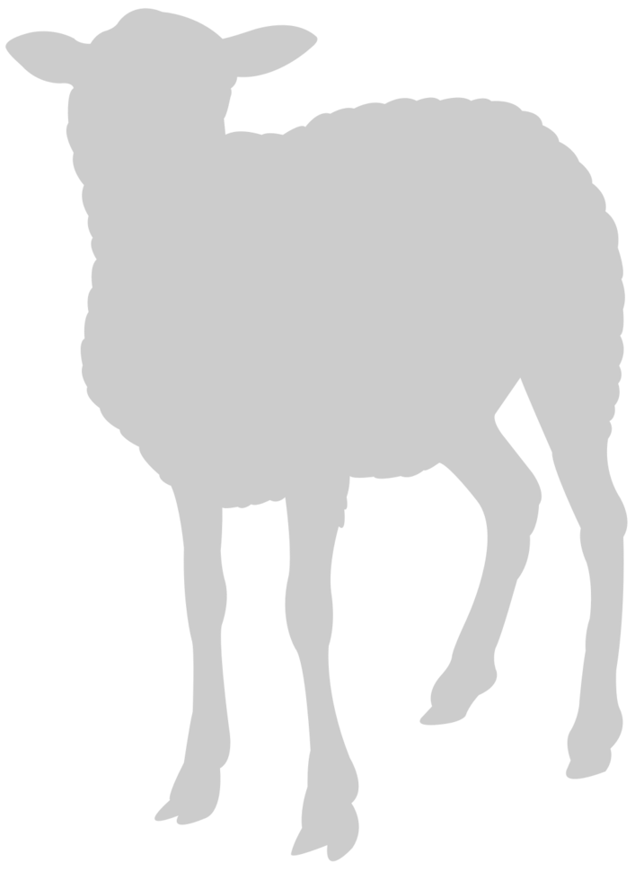 Sheep vector