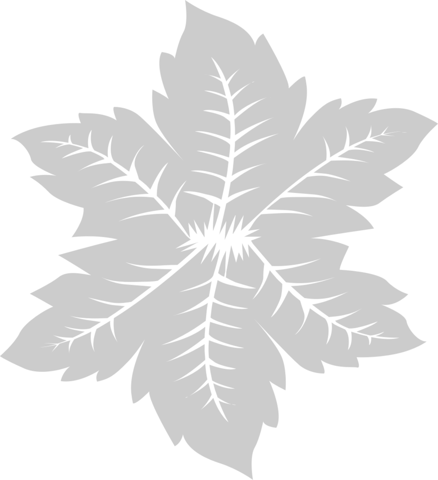 Leaf vector