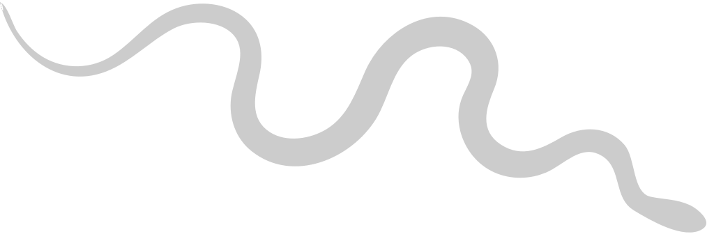 Snake vector