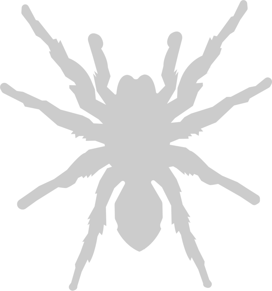 Spider vector