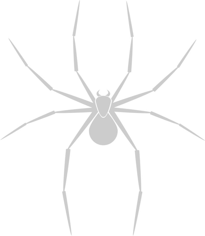 araña vector