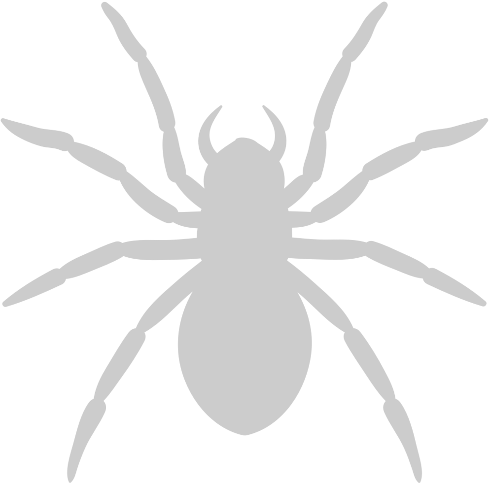 Spider vector