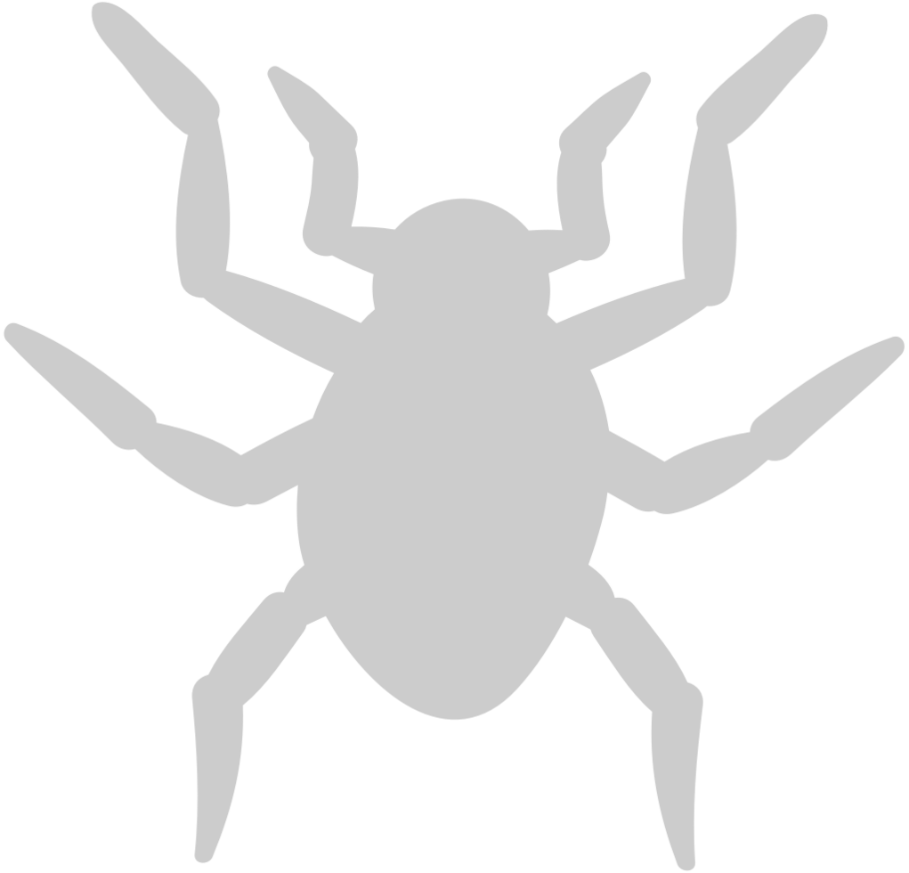 araña vector