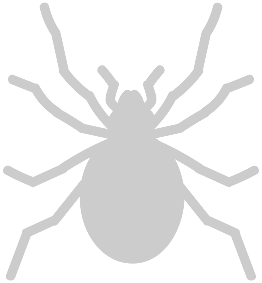 Spider vector