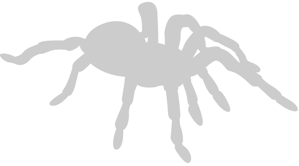 Spider vector