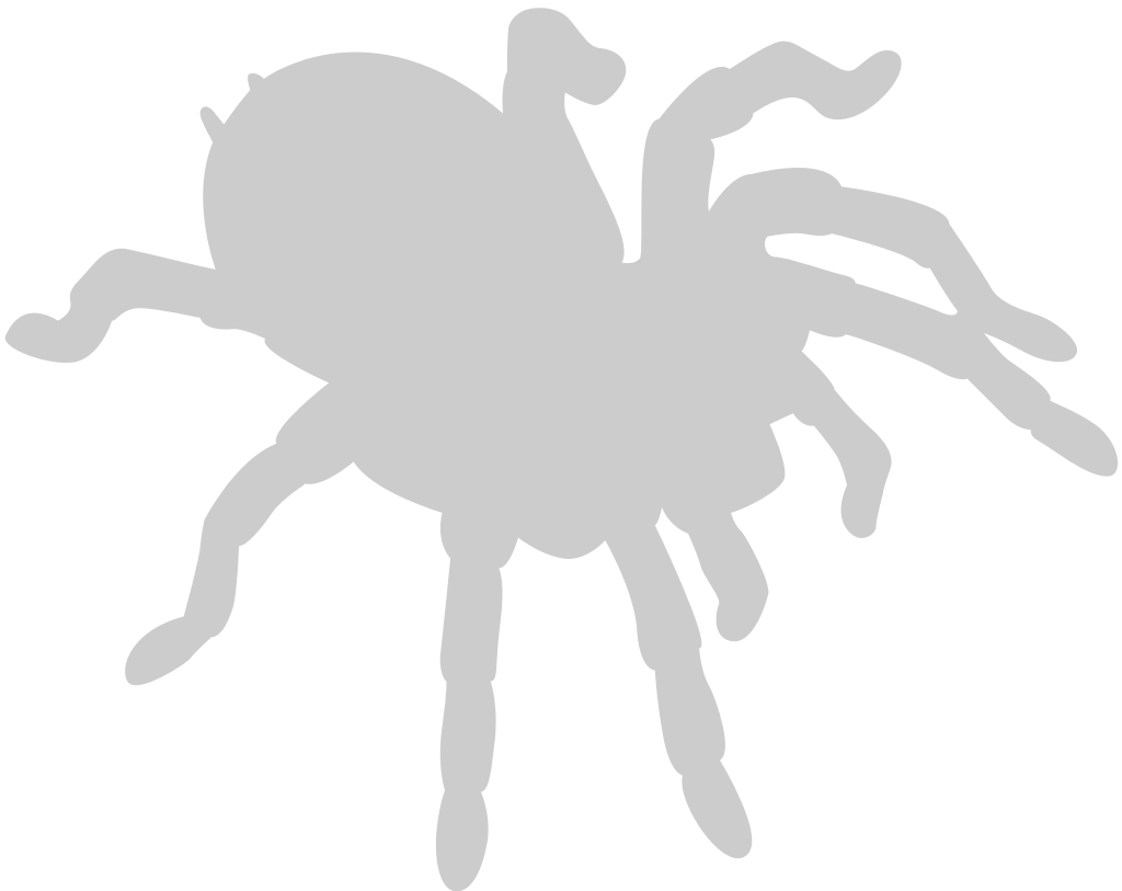 Spider vector