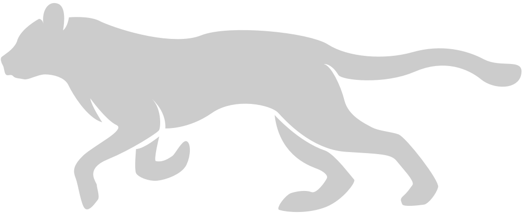 Big Cat vector