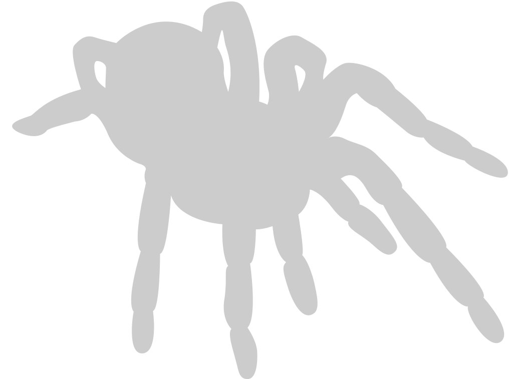 Spider vector