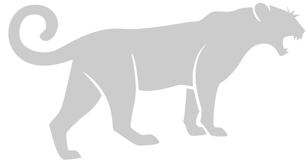 Big Cat vector