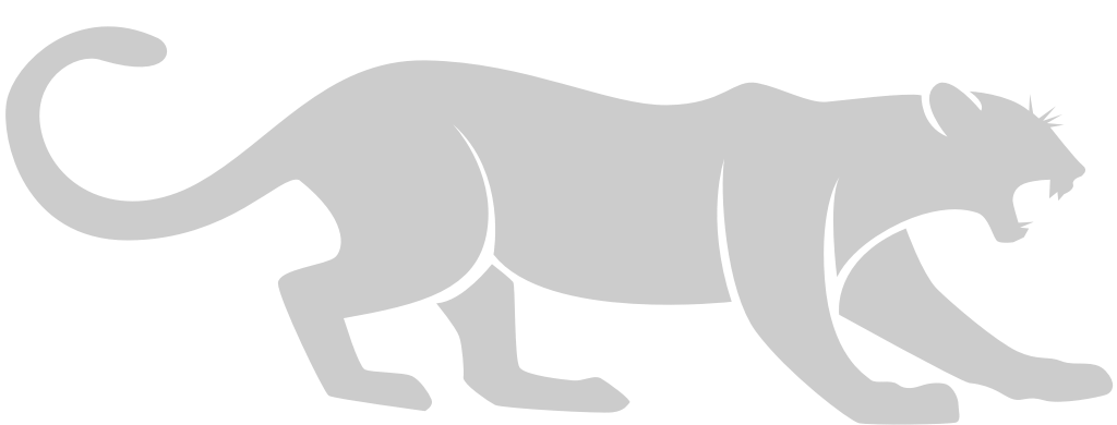 Big Cat vector